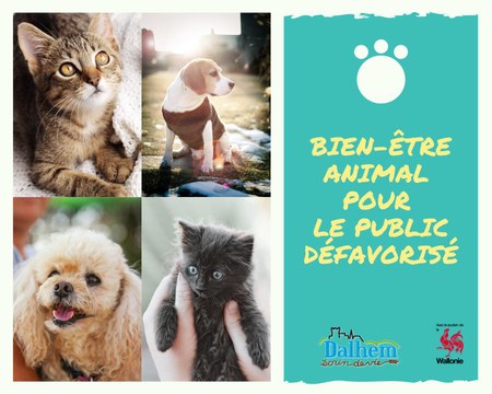 Illustration de l'actualité - cliquer pour agrandir