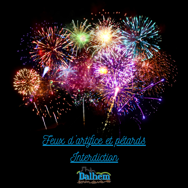 2025.12.29 Feux d'artifice