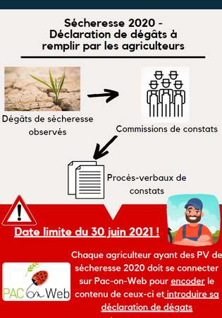 Illustration de l'actualité - cliquer pour agrandir