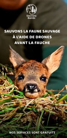 Illustration de l'actualité - cliquer pour agrandir