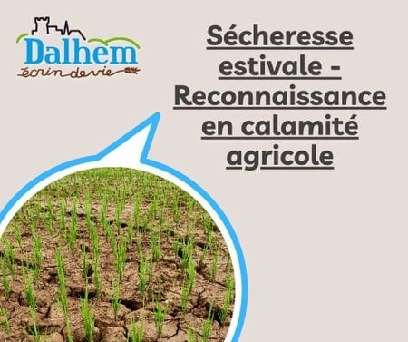 Illustration de l'actualité - cliquer pour agrandir