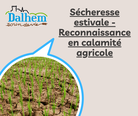 Illustration de l'actualité - cliquer pour agrandir