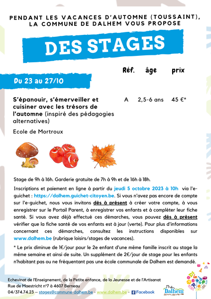 Stage automne sem 1
