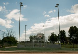  DSC 1175 