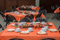  3102 ccca gouter 007 51523036772 o 