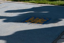  DSC 2800 
