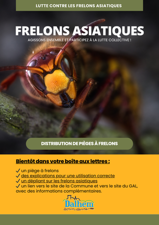 Illustration de l'actualité - cliquer pour agrandir