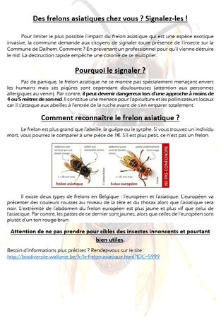 Illustration de l'actualité - cliquer pour agrandir