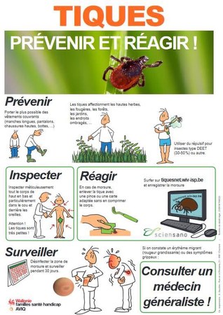 Illustration de l'actualité - cliquer pour agrandir